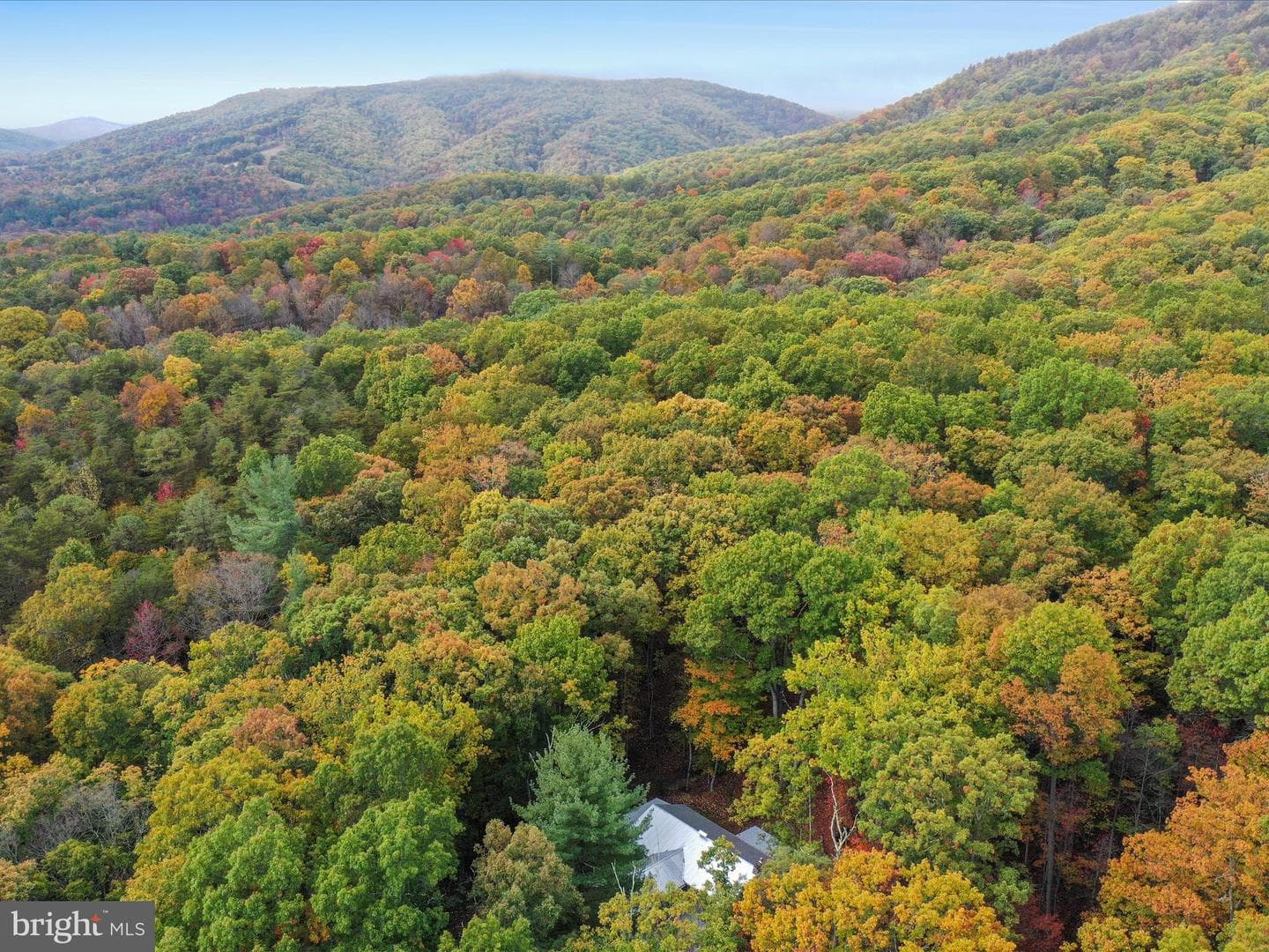 446 Black Ridge Road photo 38