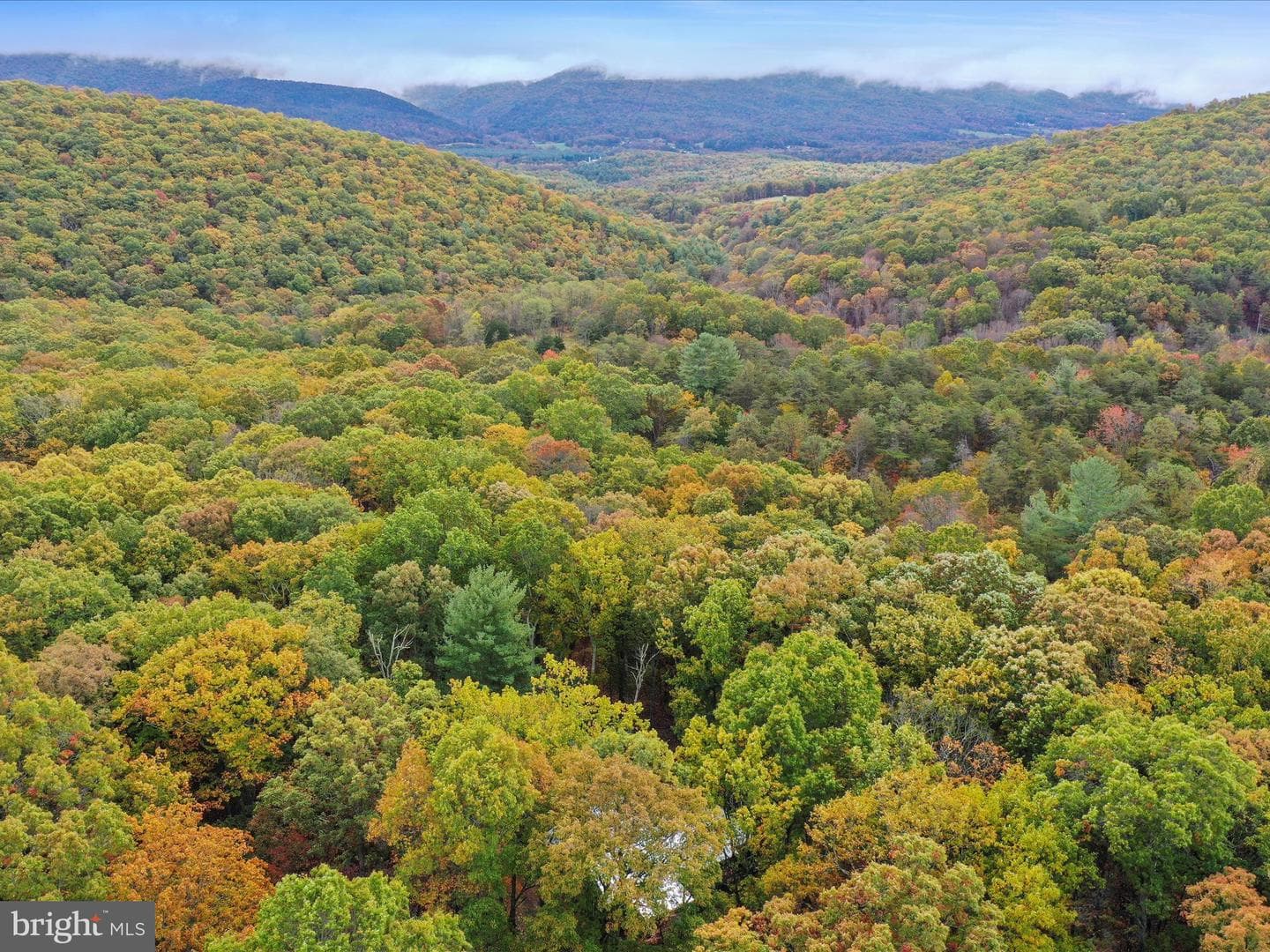 446 Black Ridge Road photo 40