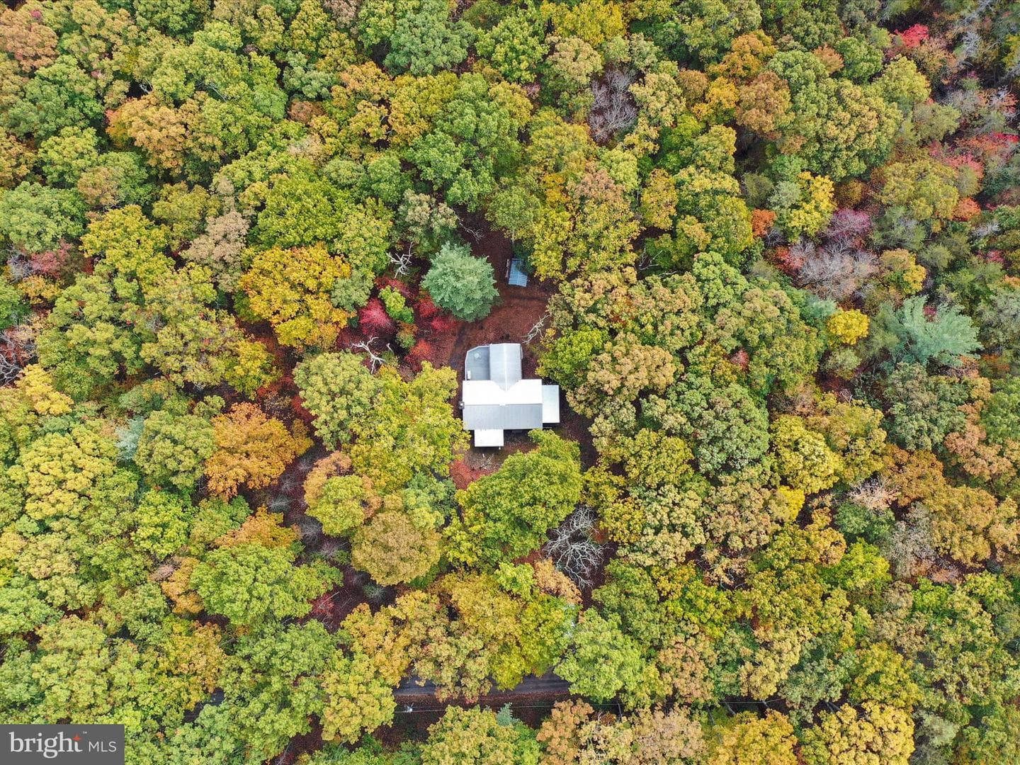 446 Black Ridge Road photo 42