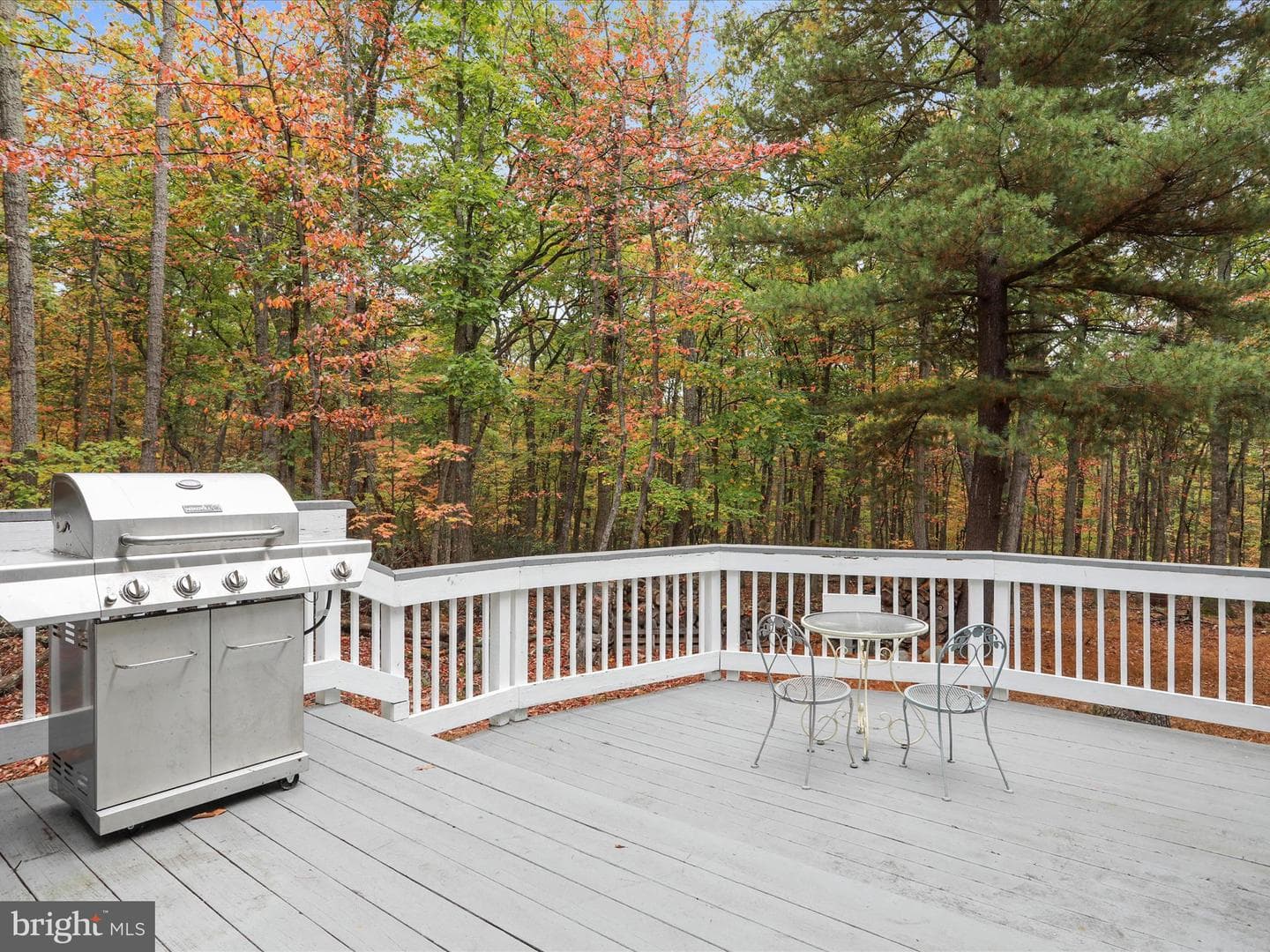 446 Black Ridge Road photo 6