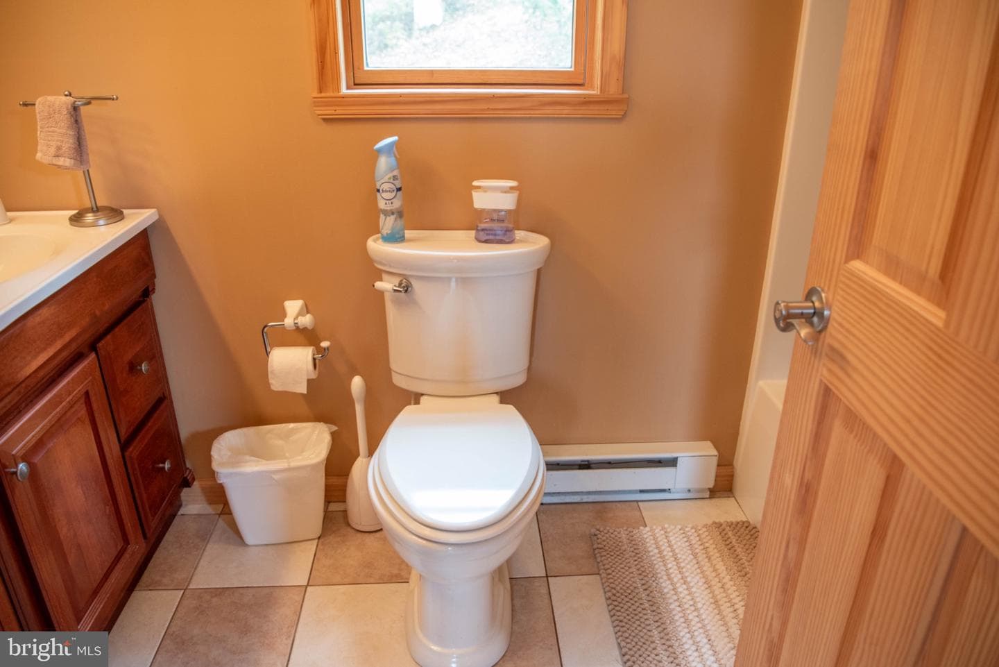 718 Black Bear Lane photo 31
