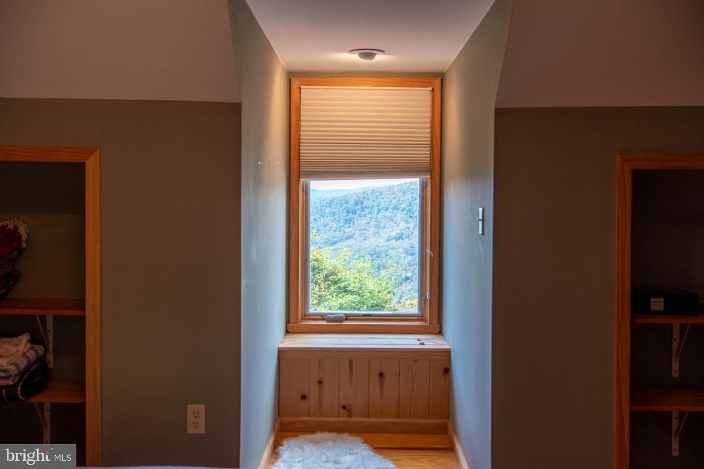 718 Black Bear Lane photo 34
