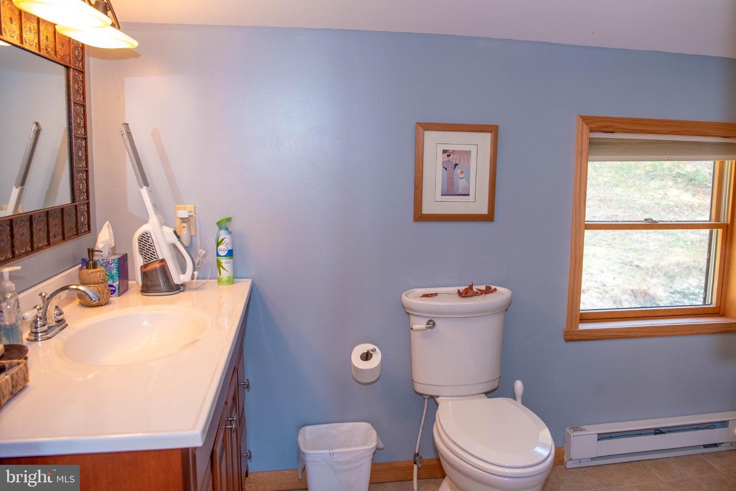 718 Black Bear Lane photo 38
