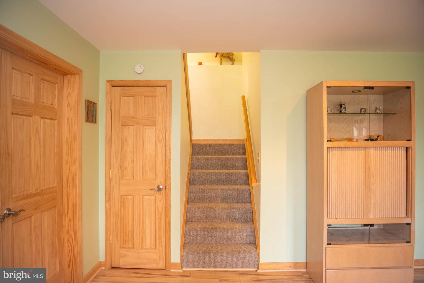 718 Black Bear Lane photo 46