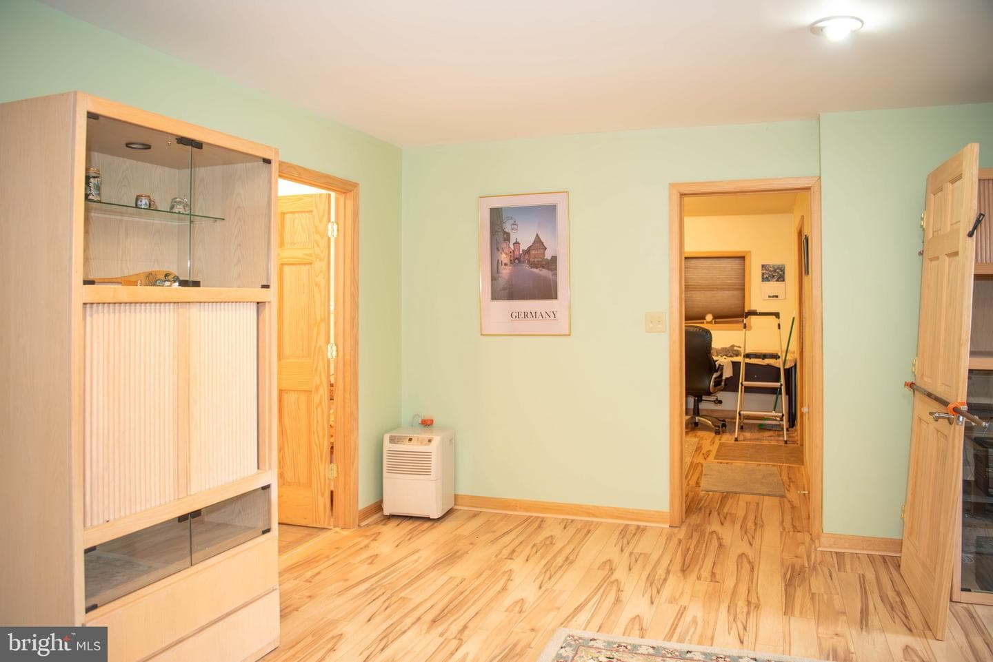 718 Black Bear Lane photo 54
