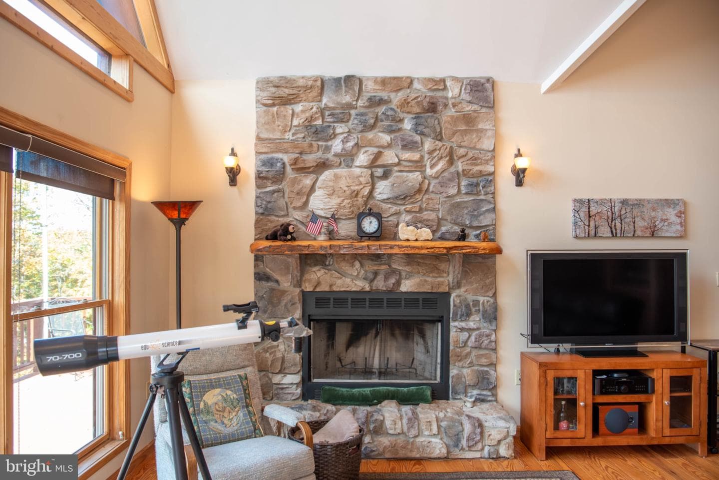 718 Black Bear Lane photo 7