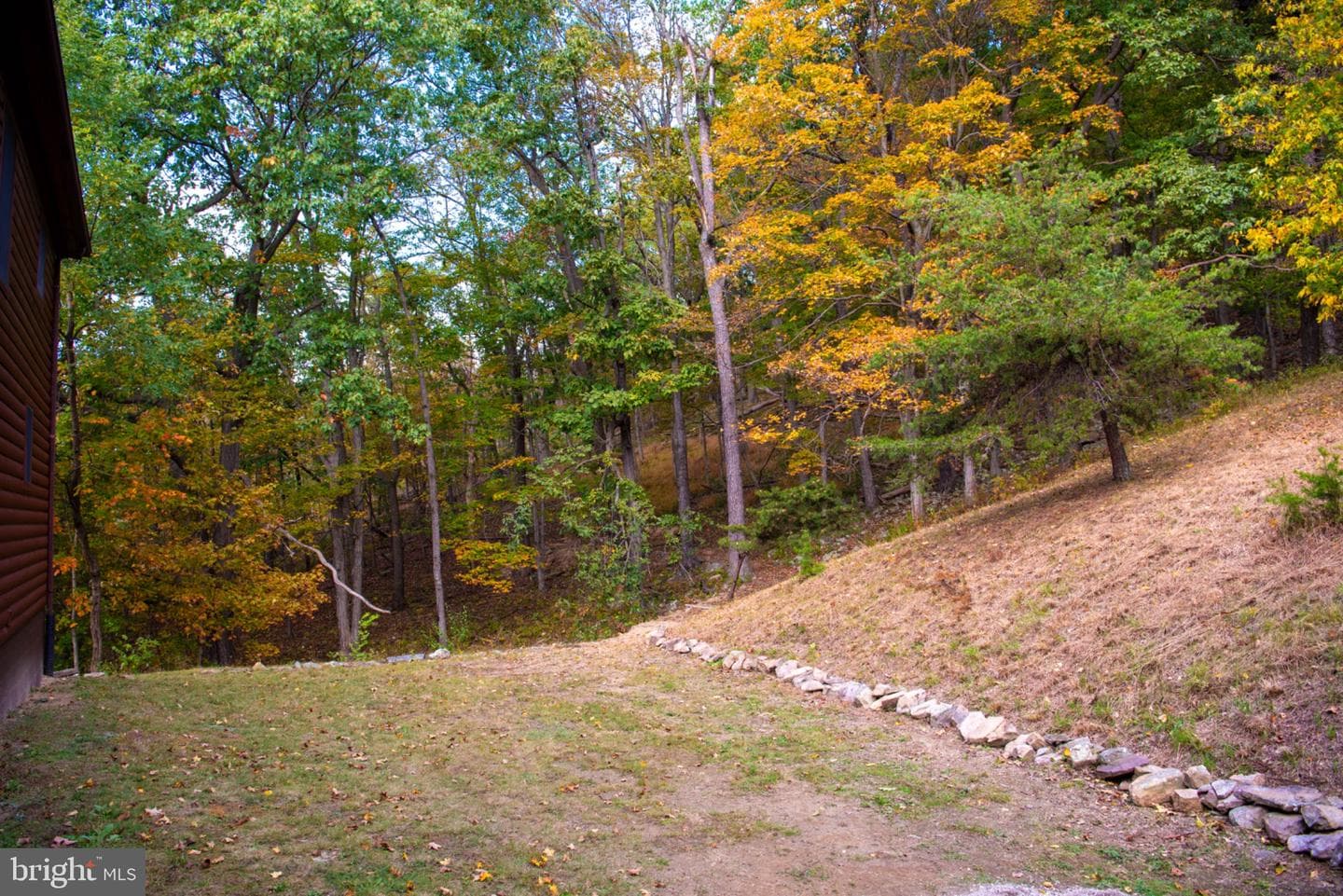 718 Black Bear Lane photo 79