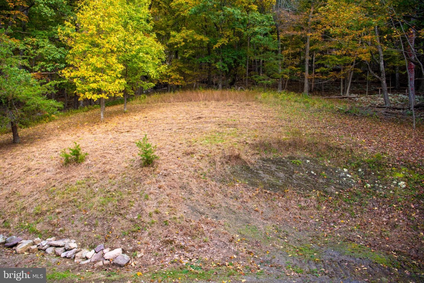 718 Black Bear Lane photo 80