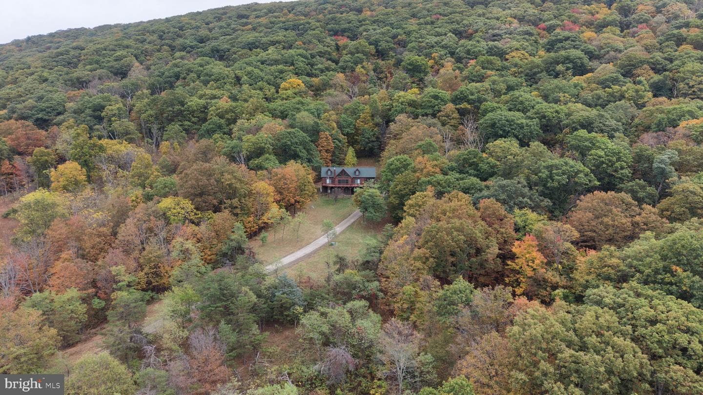 718 Black Bear Lane photo 86