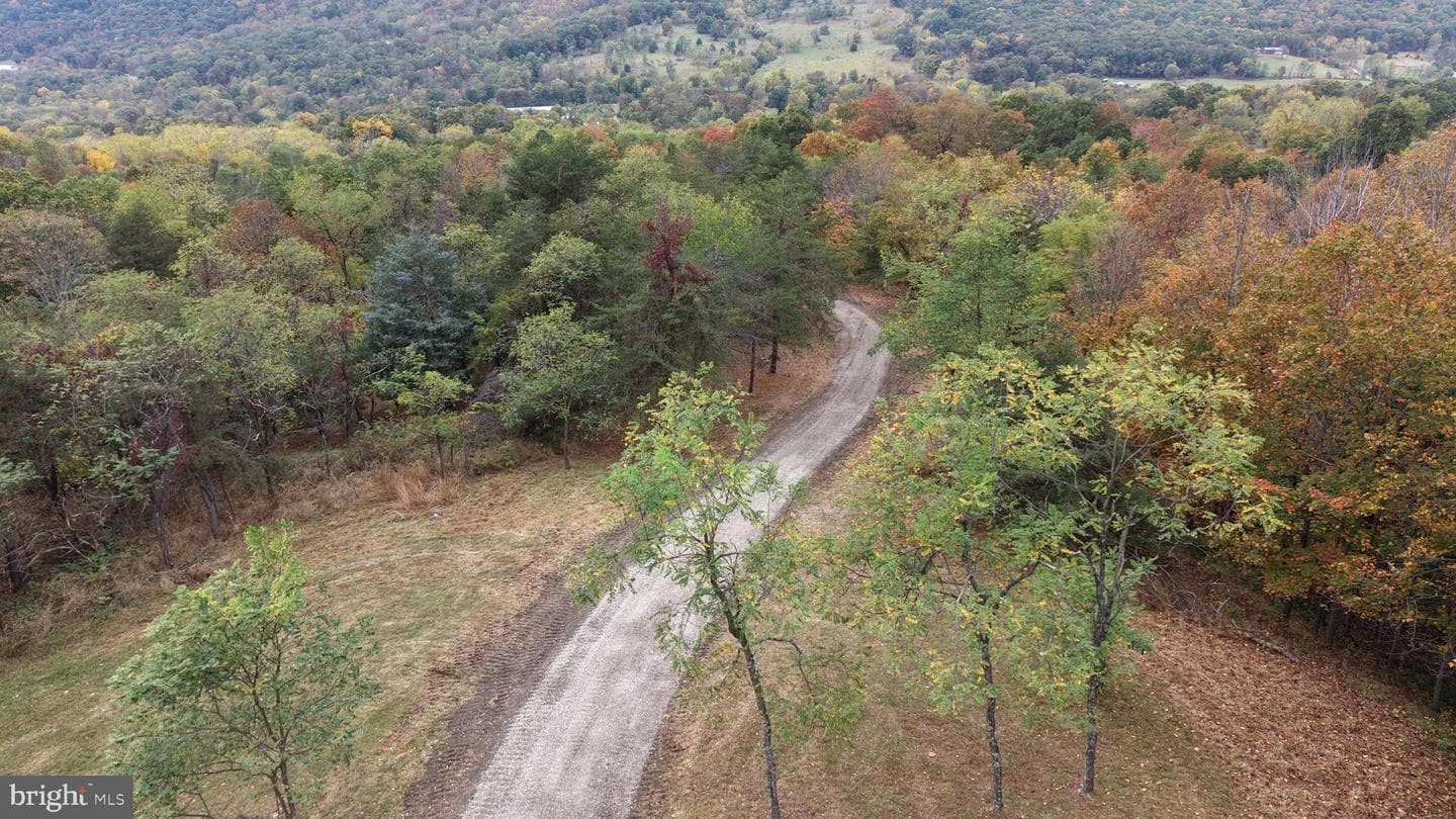718 Black Bear Lane photo 91