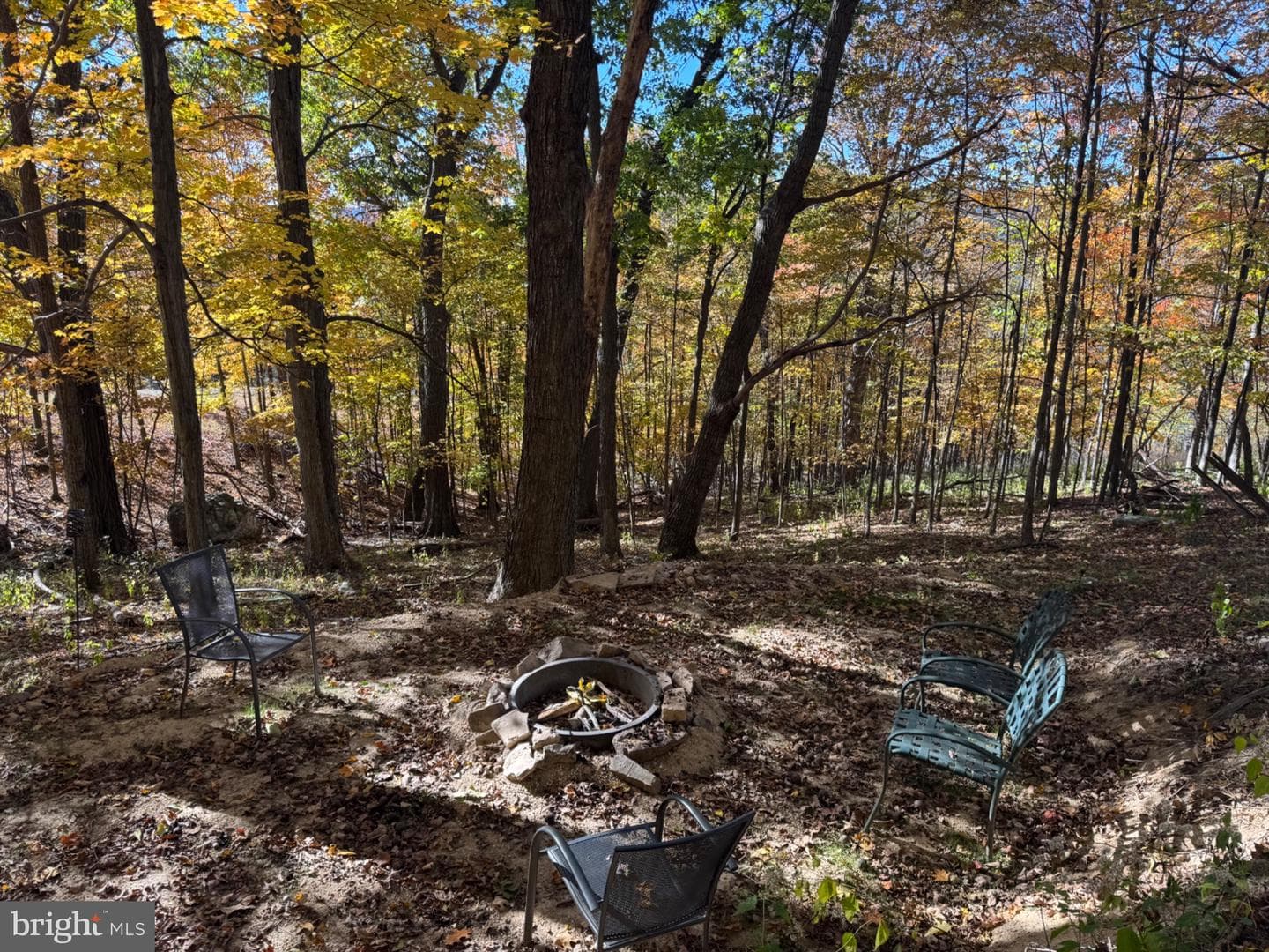 718 Black Bear Lane photo 93