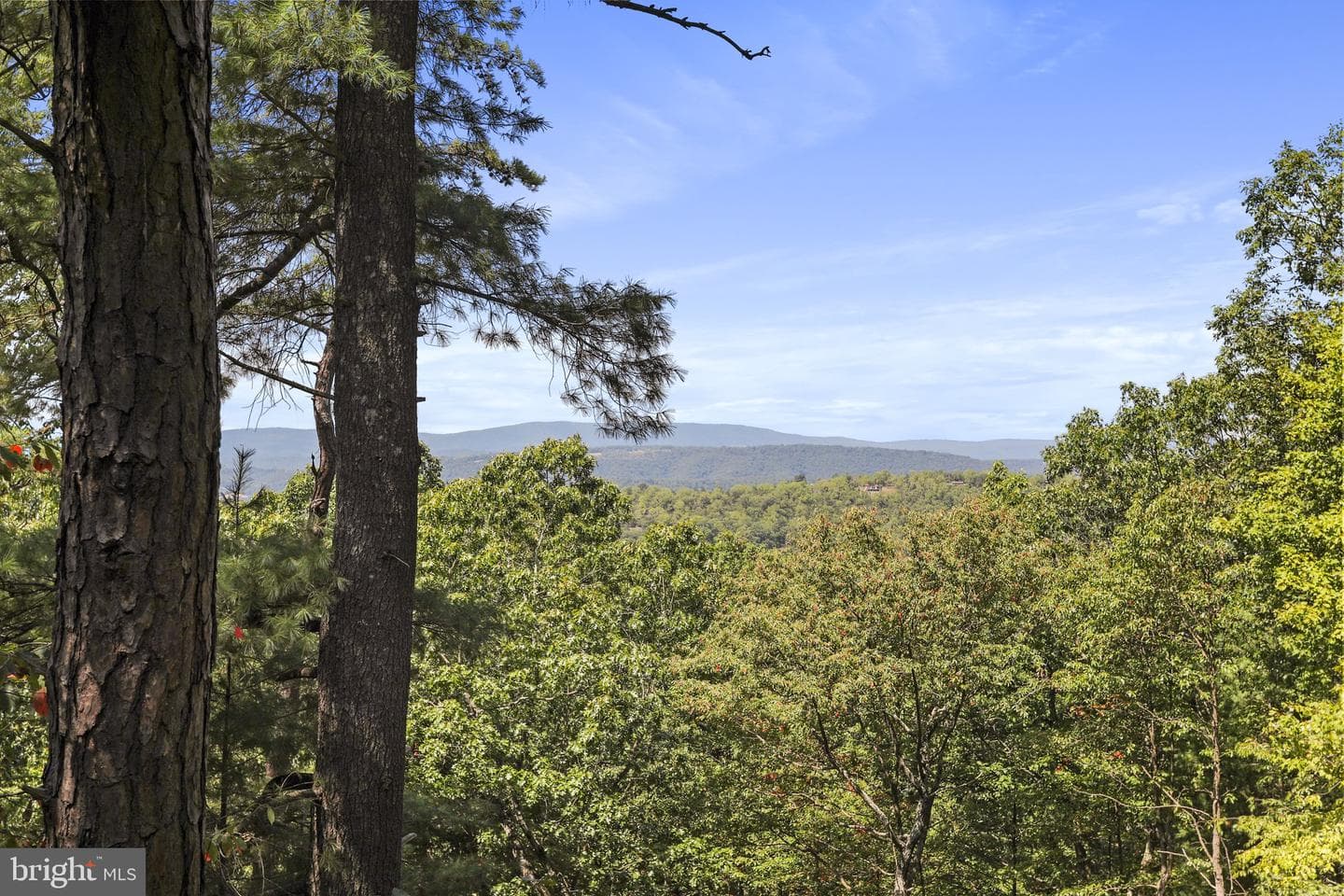 813 Moonshine Hollow Road photo 13