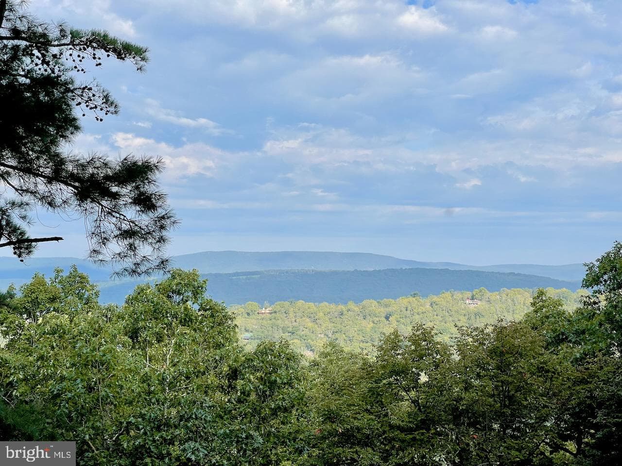 813 Moonshine Hollow Road photo 38