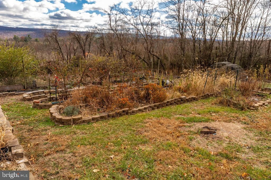 408 Hawks Nest Drive photo 47