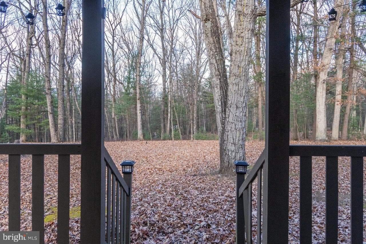 800 Cove Mountain Road photo 11