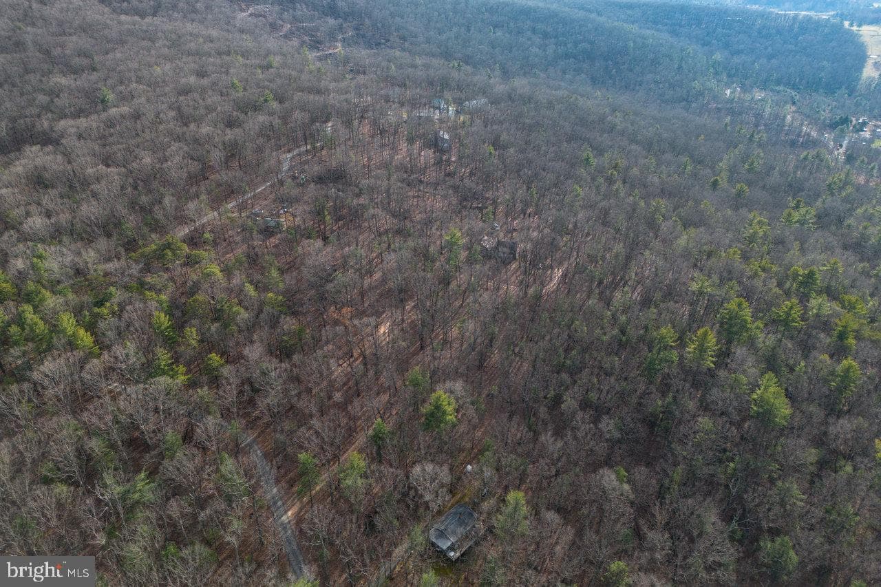 800 Cove Mountain Road photo 80