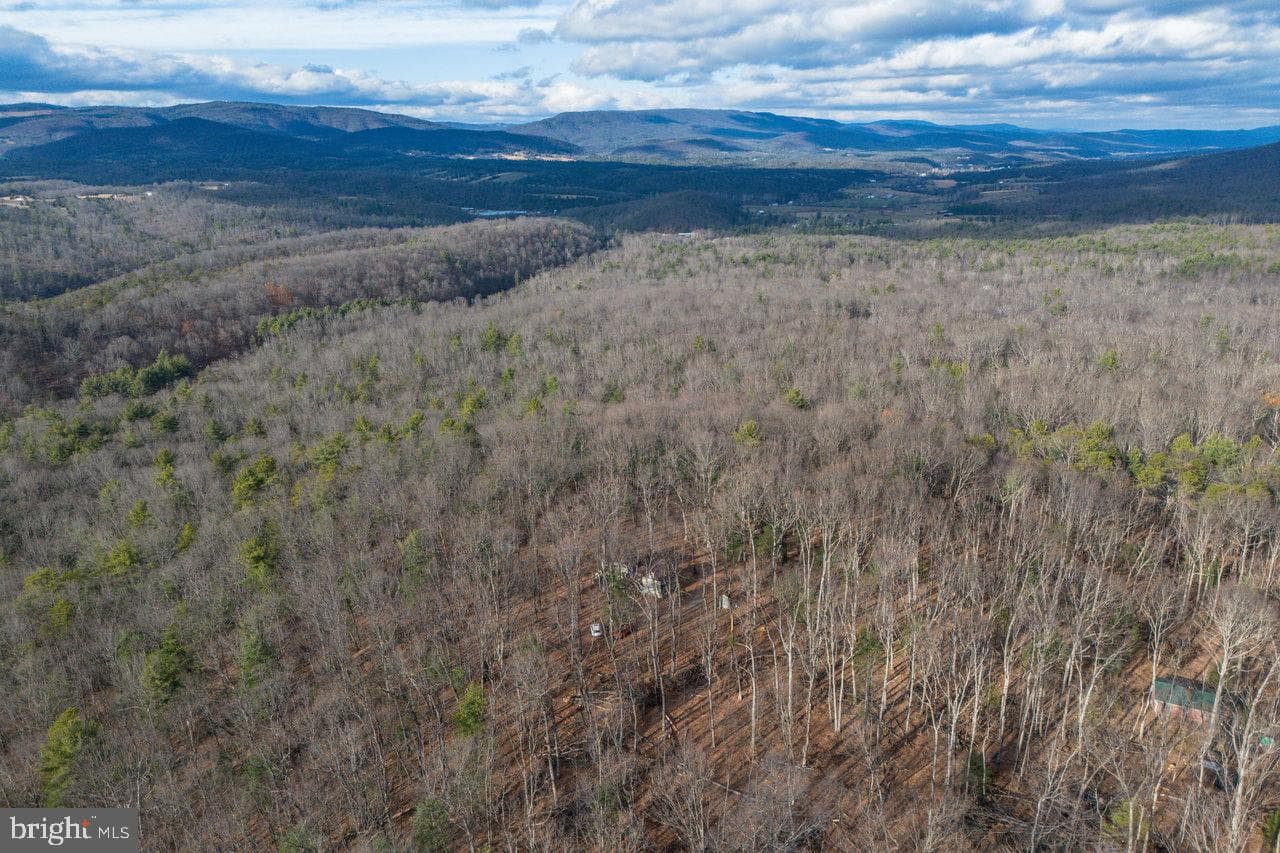 800 Cove Mountain Road photo 81