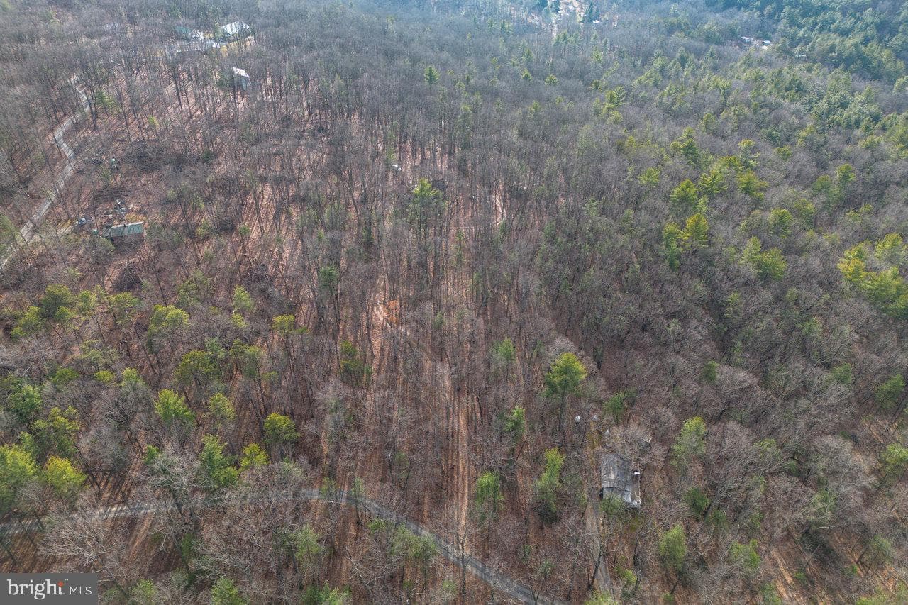 800 Cove Mountain Road photo 84