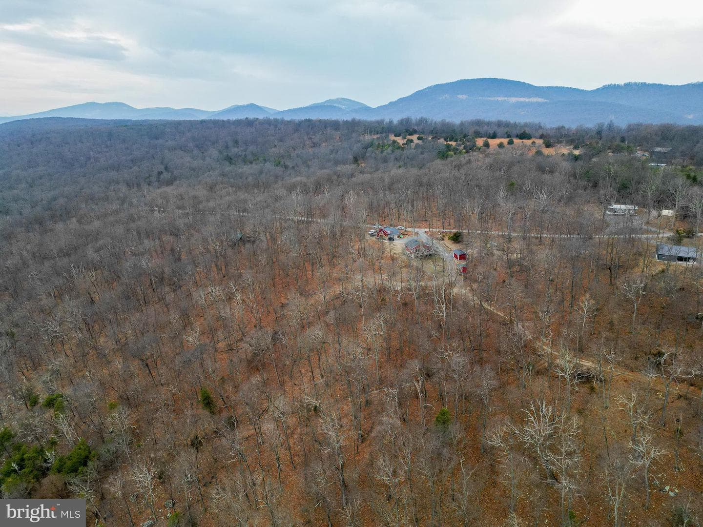 5268 Hutter Road photo 81