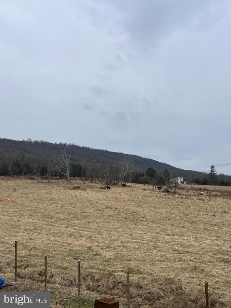 109 Mulberry Lane photo 5