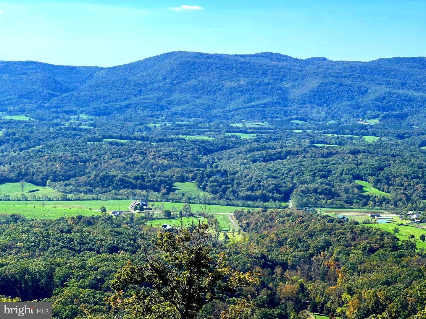 1604 High Knob Road photo 100