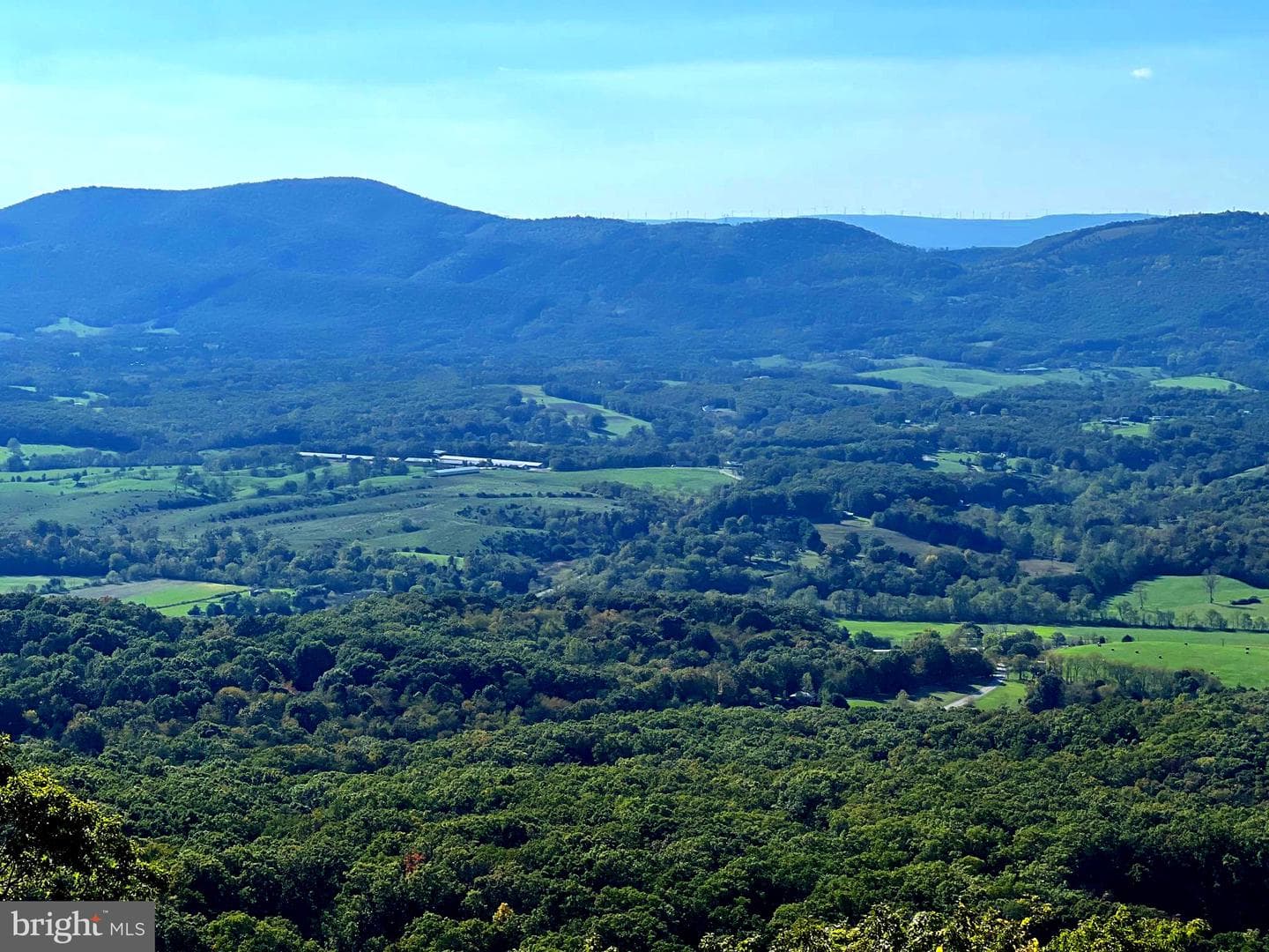 1604 High Knob Road photo 101