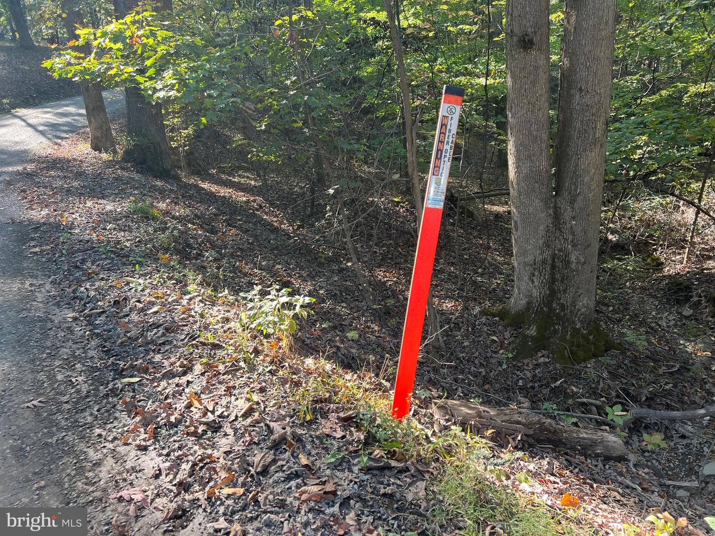 1604 High Knob Road photo 103