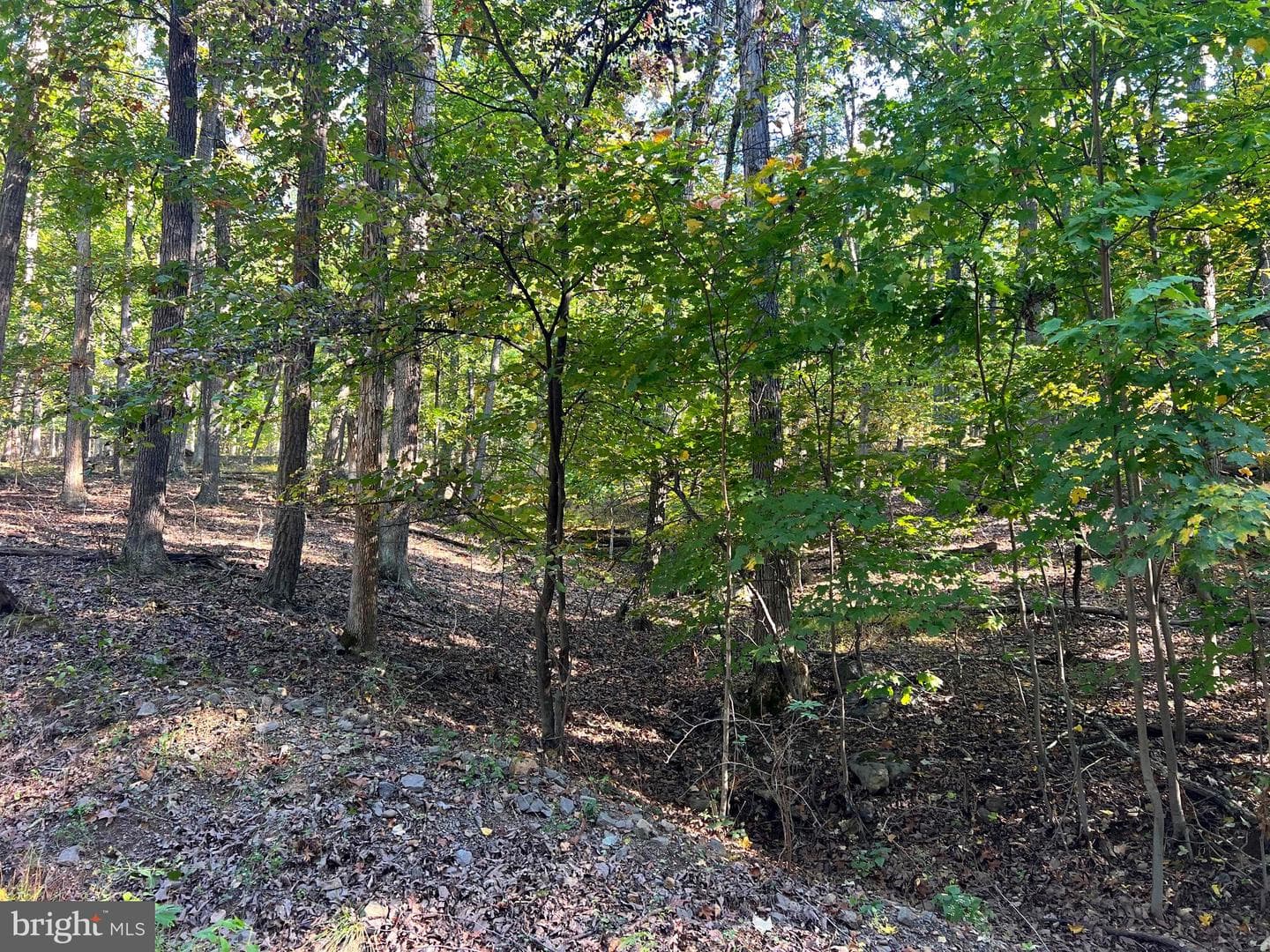 1604 High Knob Road photo 104