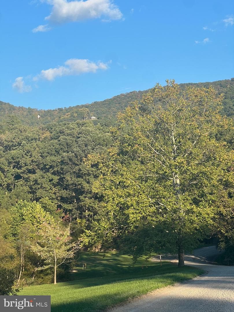 1604 High Knob Road photo 18