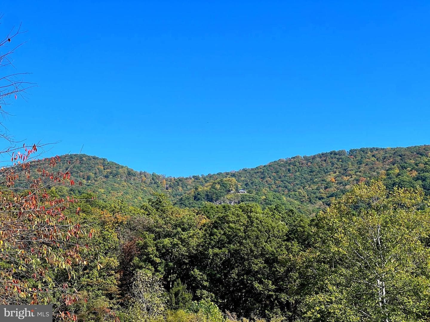 1604 High Knob Road photo 69