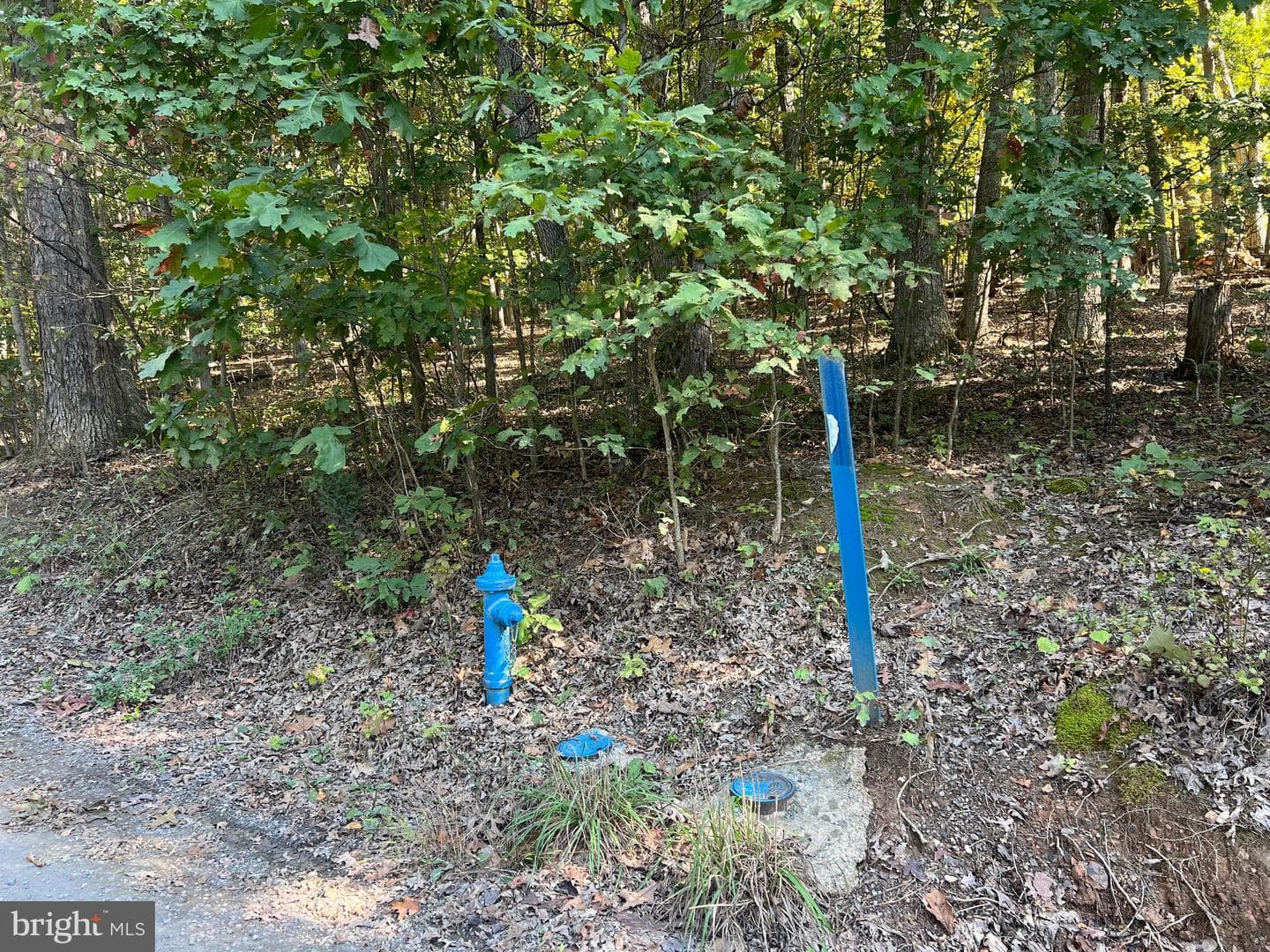 1604 High Knob Road photo 76