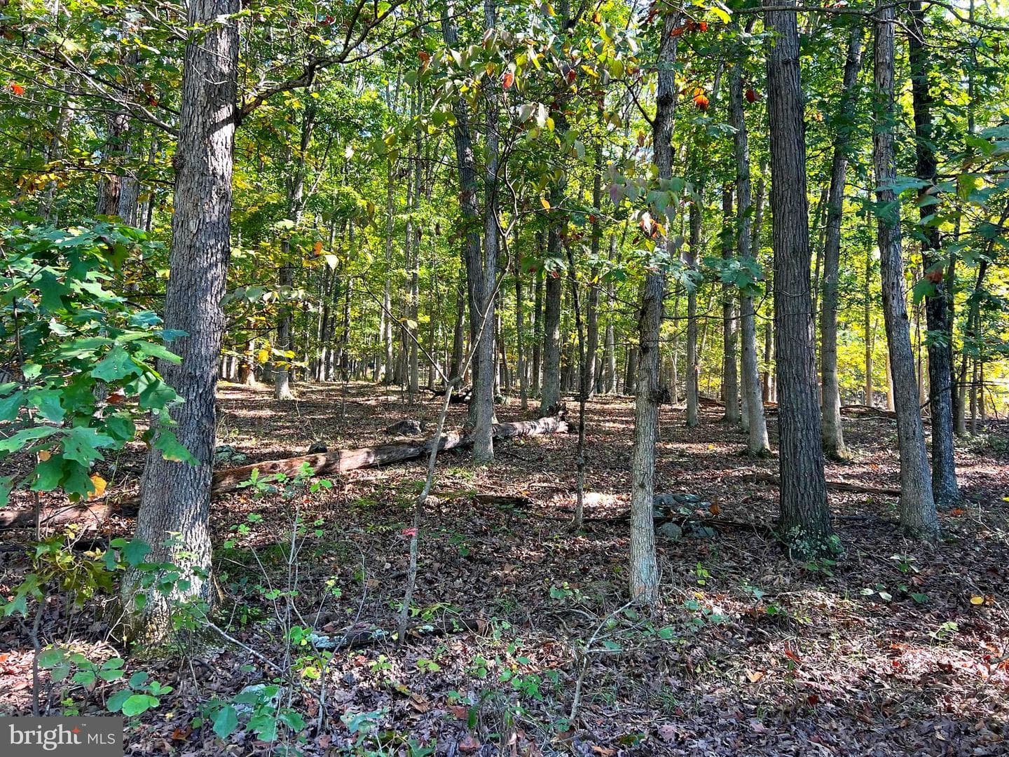 1604 High Knob Road photo 77