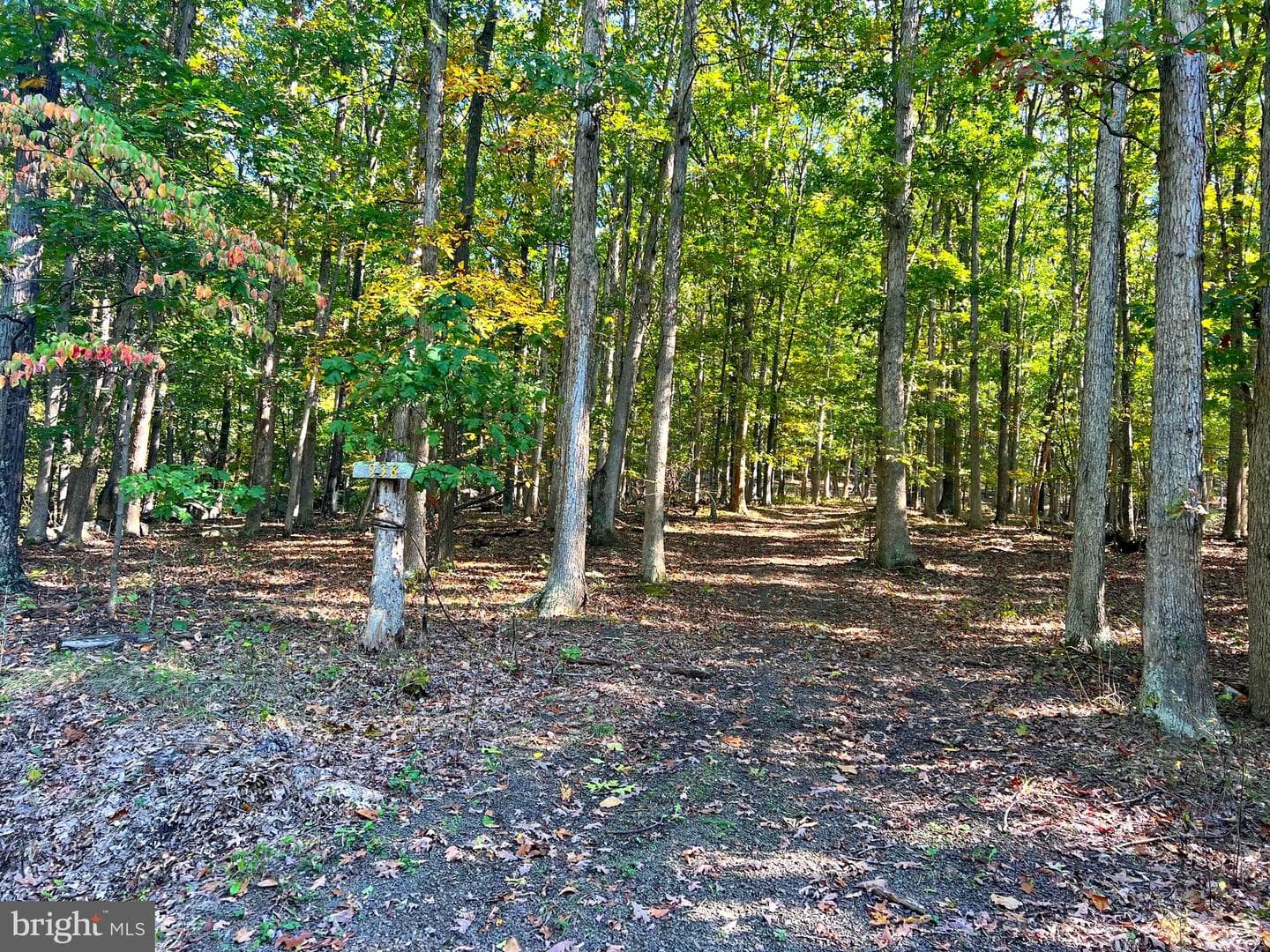 1604 High Knob Road photo 78