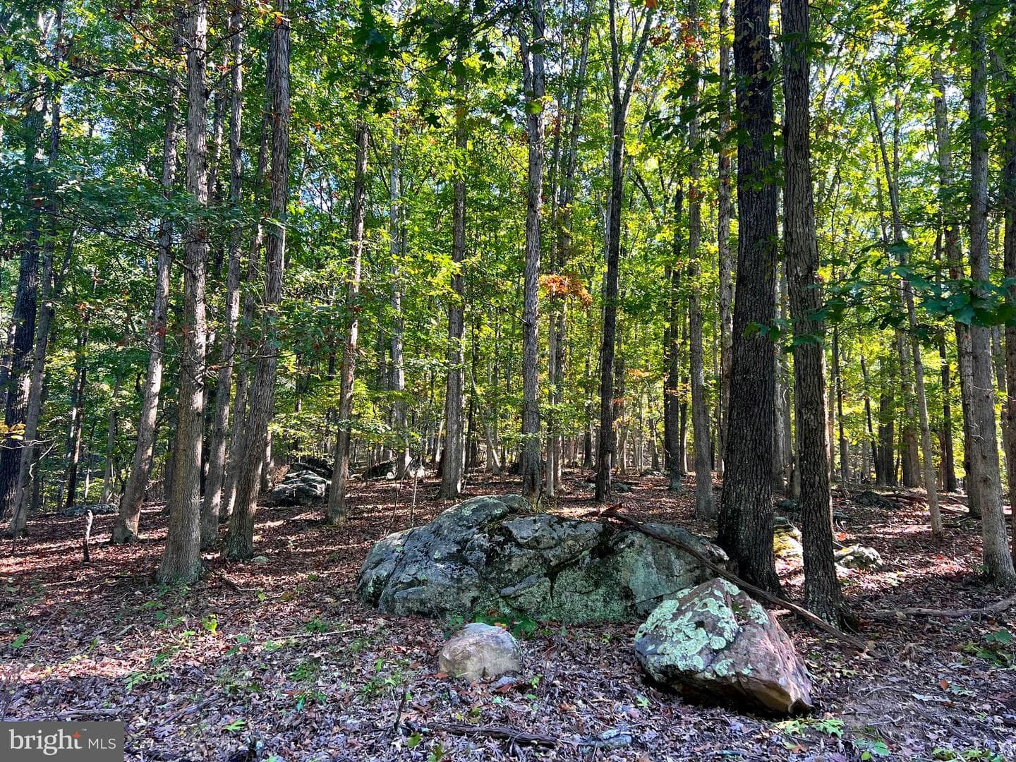 1604 High Knob Road photo 79