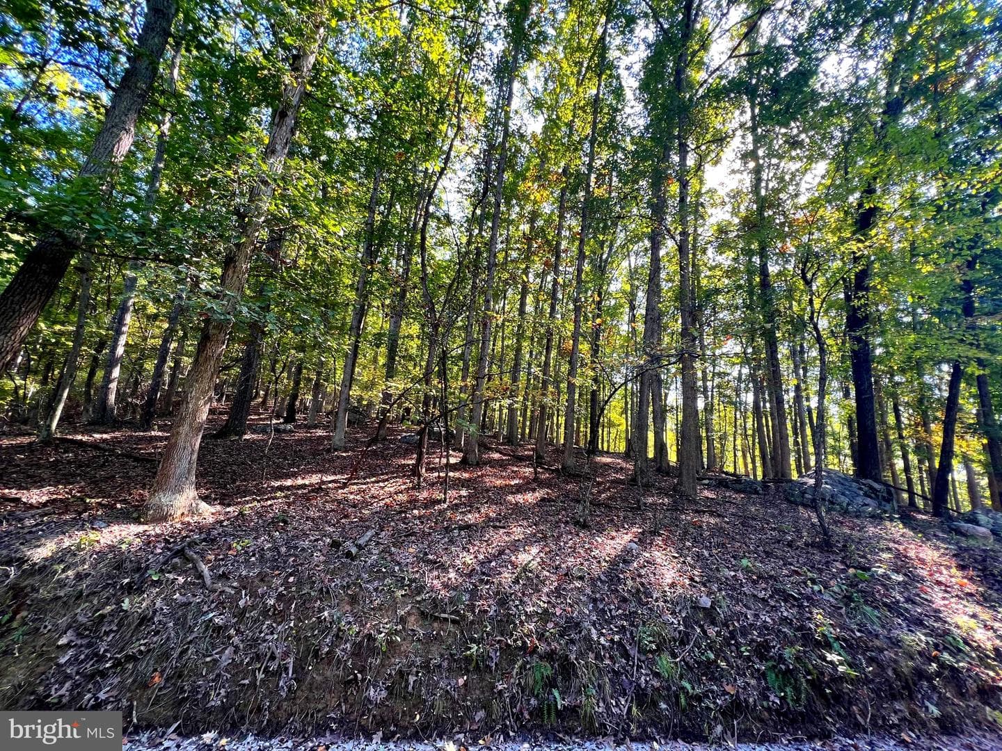 1604 High Knob Road photo 80