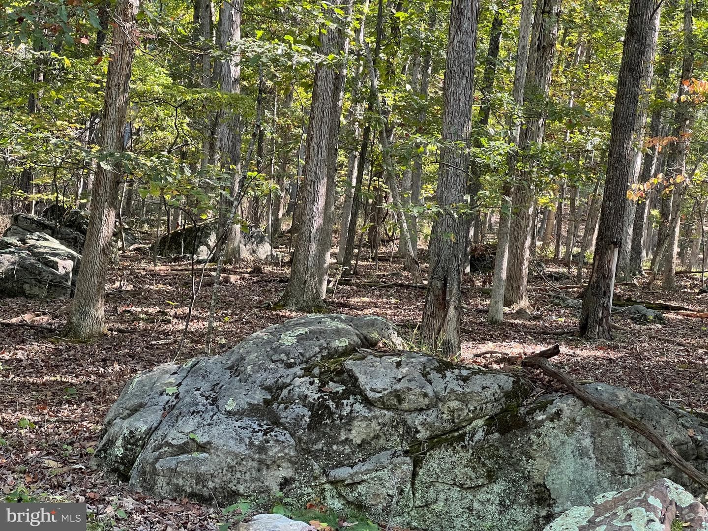 1604 High Knob Road photo 81