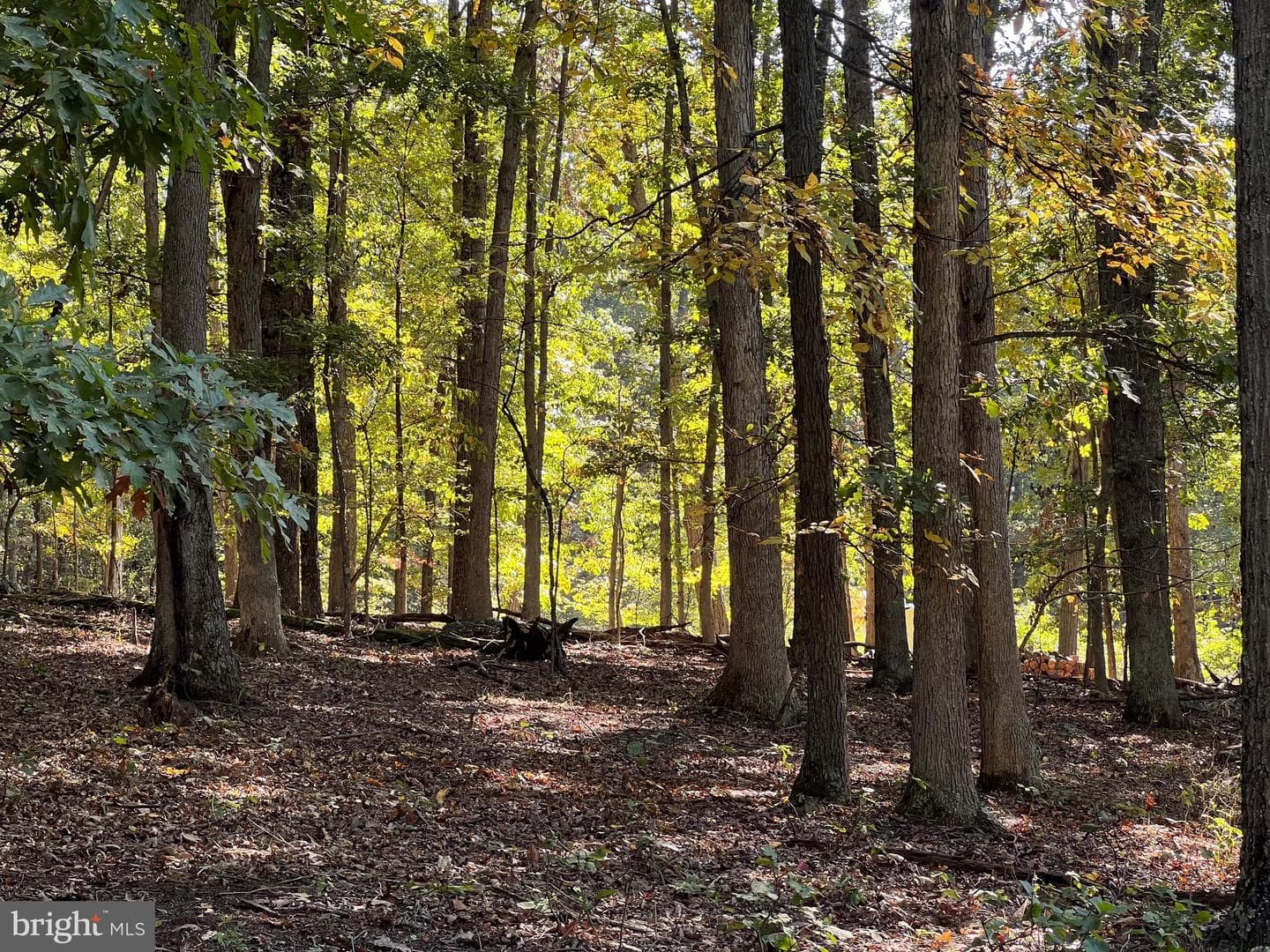 1604 High Knob Road photo 83