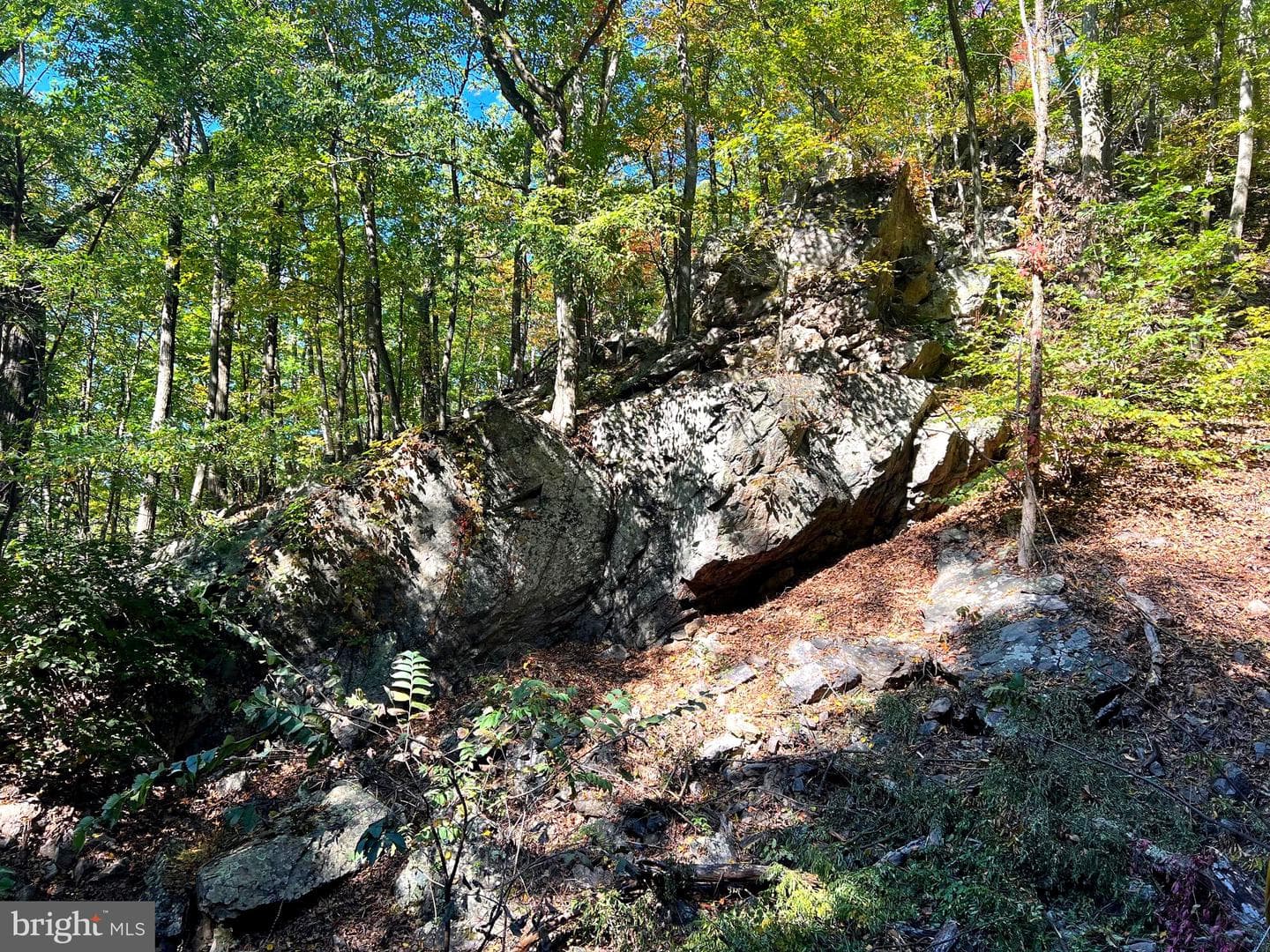1604 High Knob Road photo 84