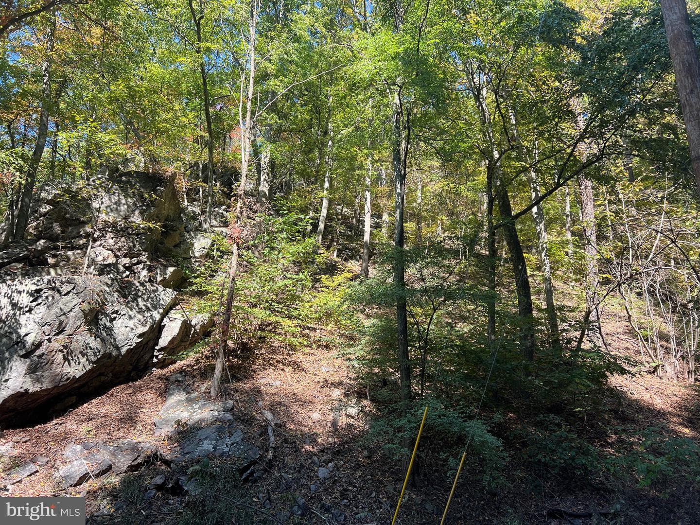 1604 High Knob Road photo 85