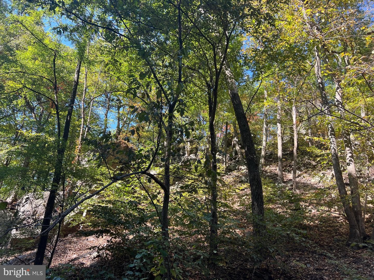 1604 High Knob Road photo 86