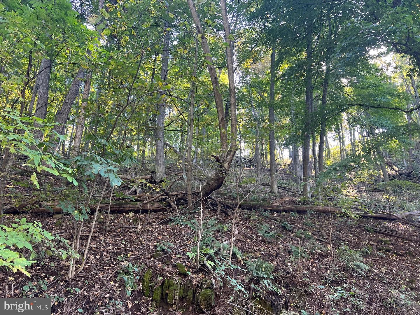1604 High Knob Road photo 88