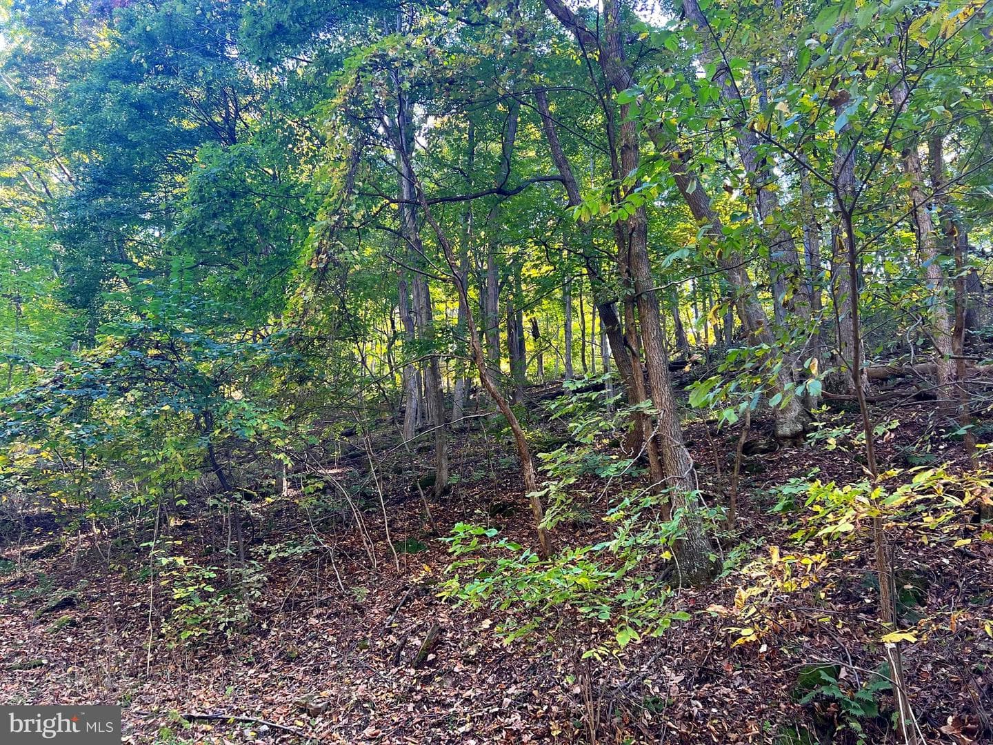 1604 High Knob Road photo 89