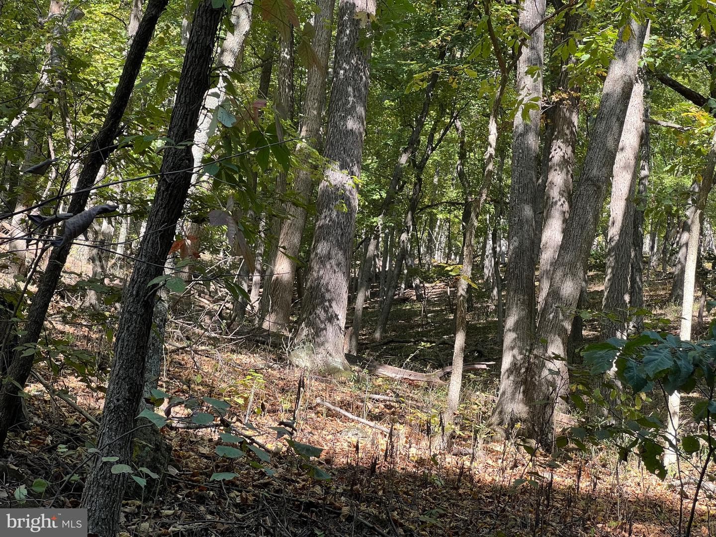 1604 High Knob Road photo 90