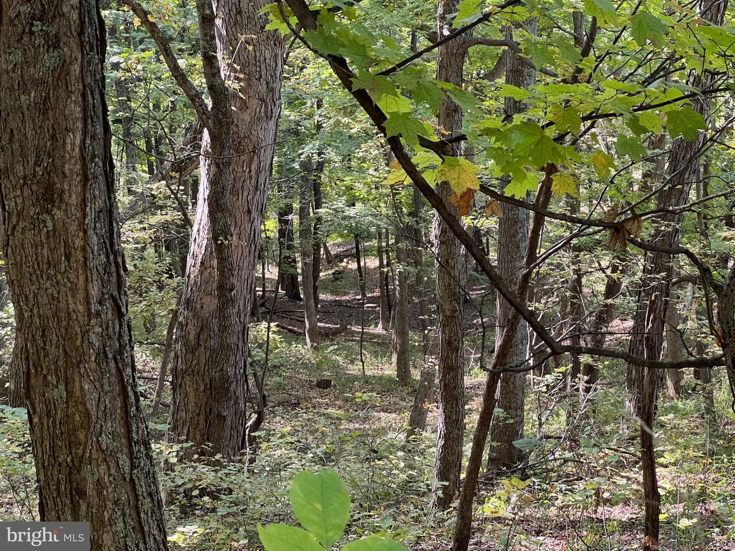 1604 High Knob Road photo 92