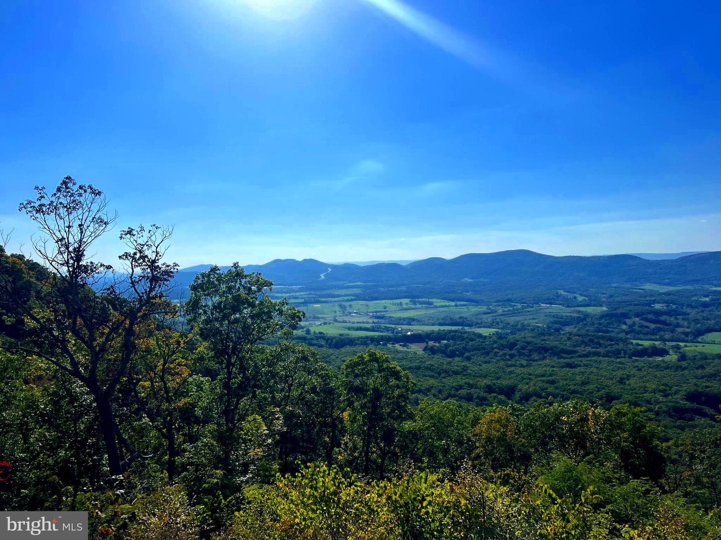 1604 High Knob Road photo 97