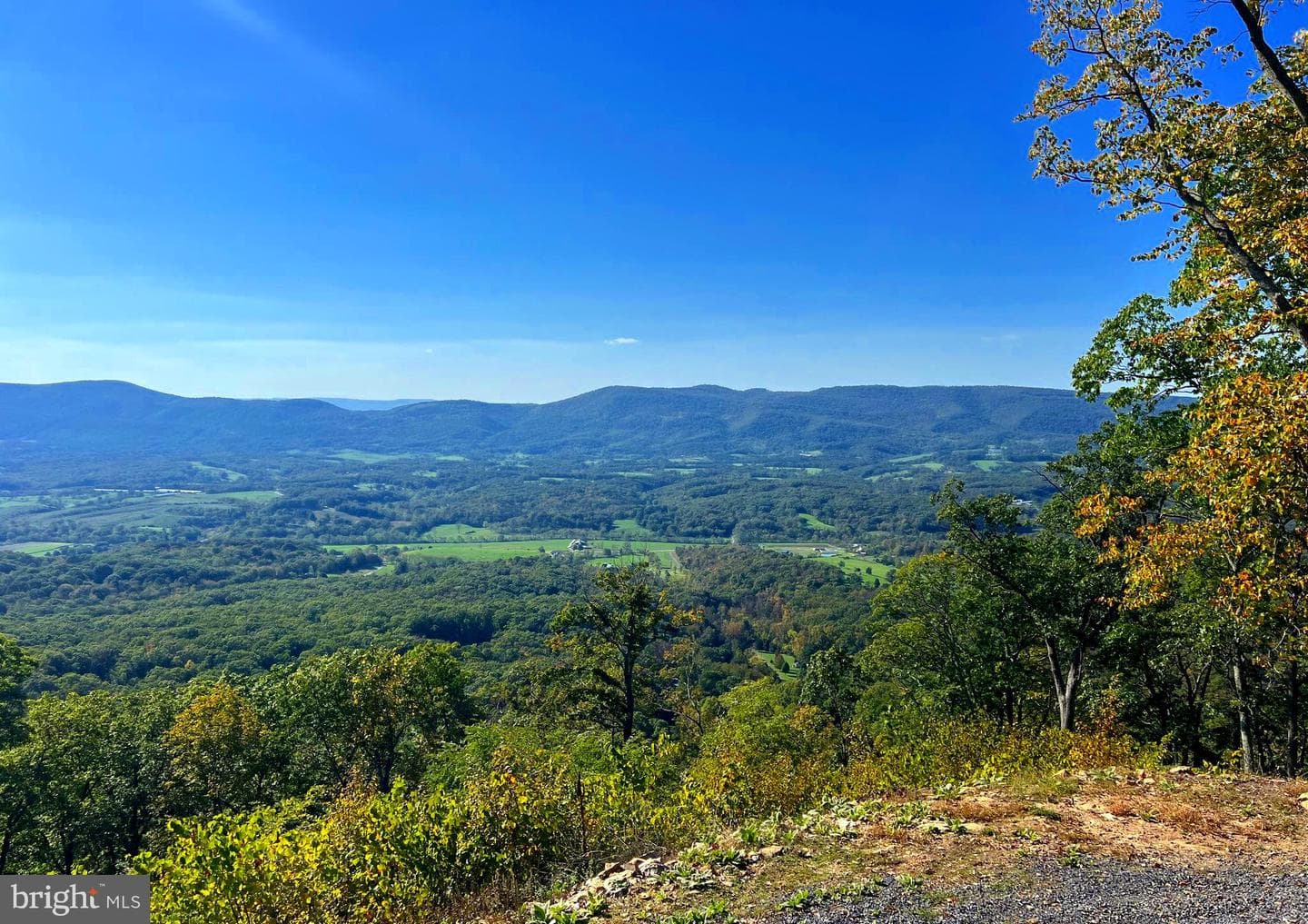 1604 High Knob Road photo 99