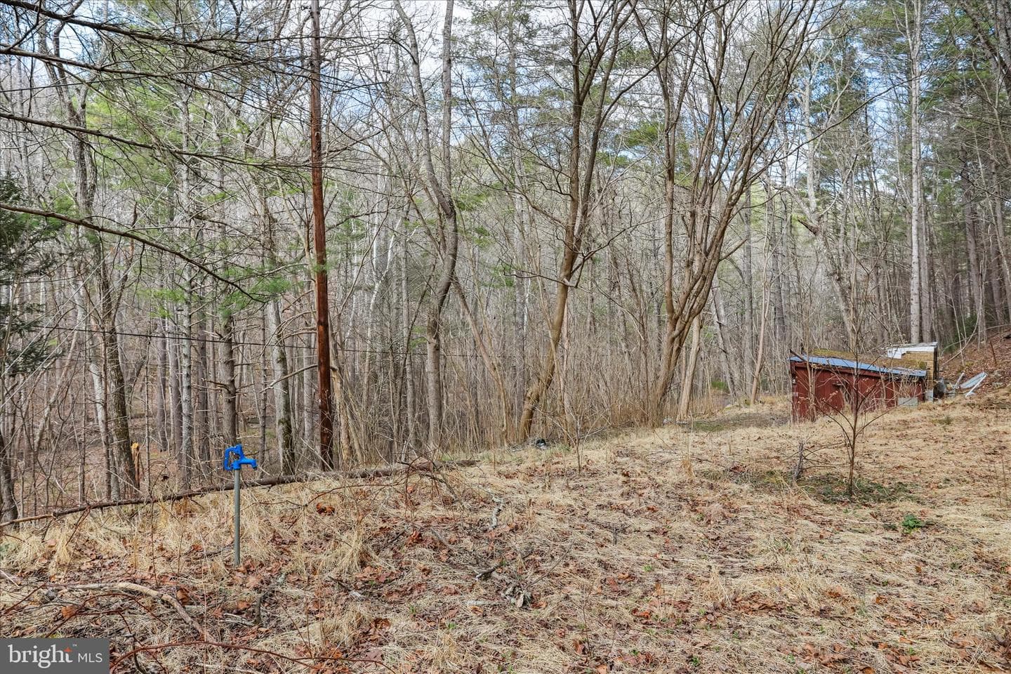 3699 Waites Run Road photo 19