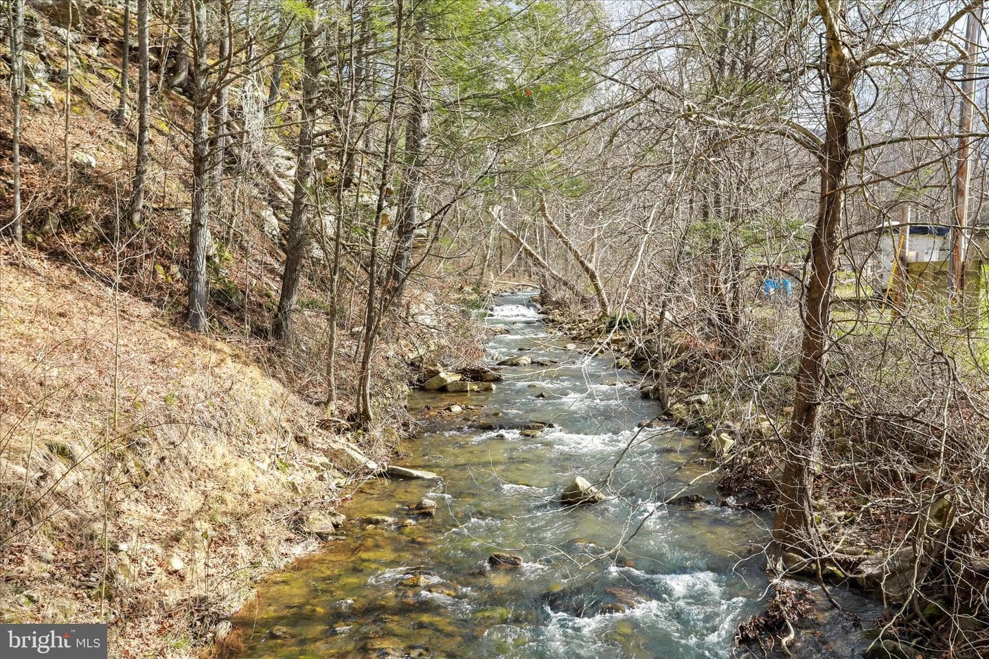 3699 Waites Run Road photo 2