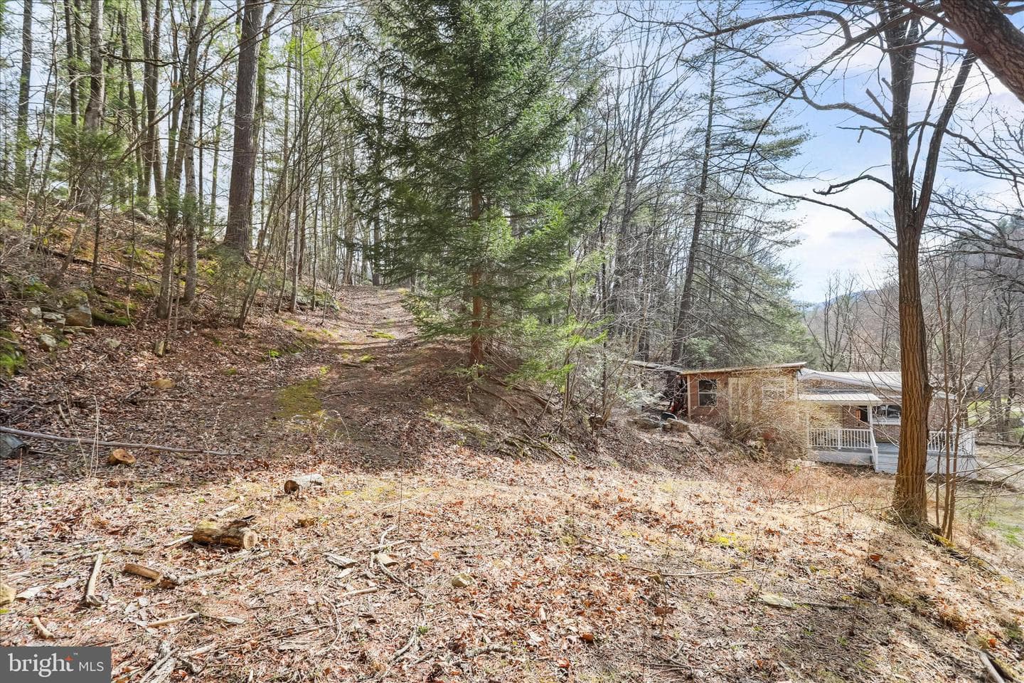 3699 Waites Run Road photo 24