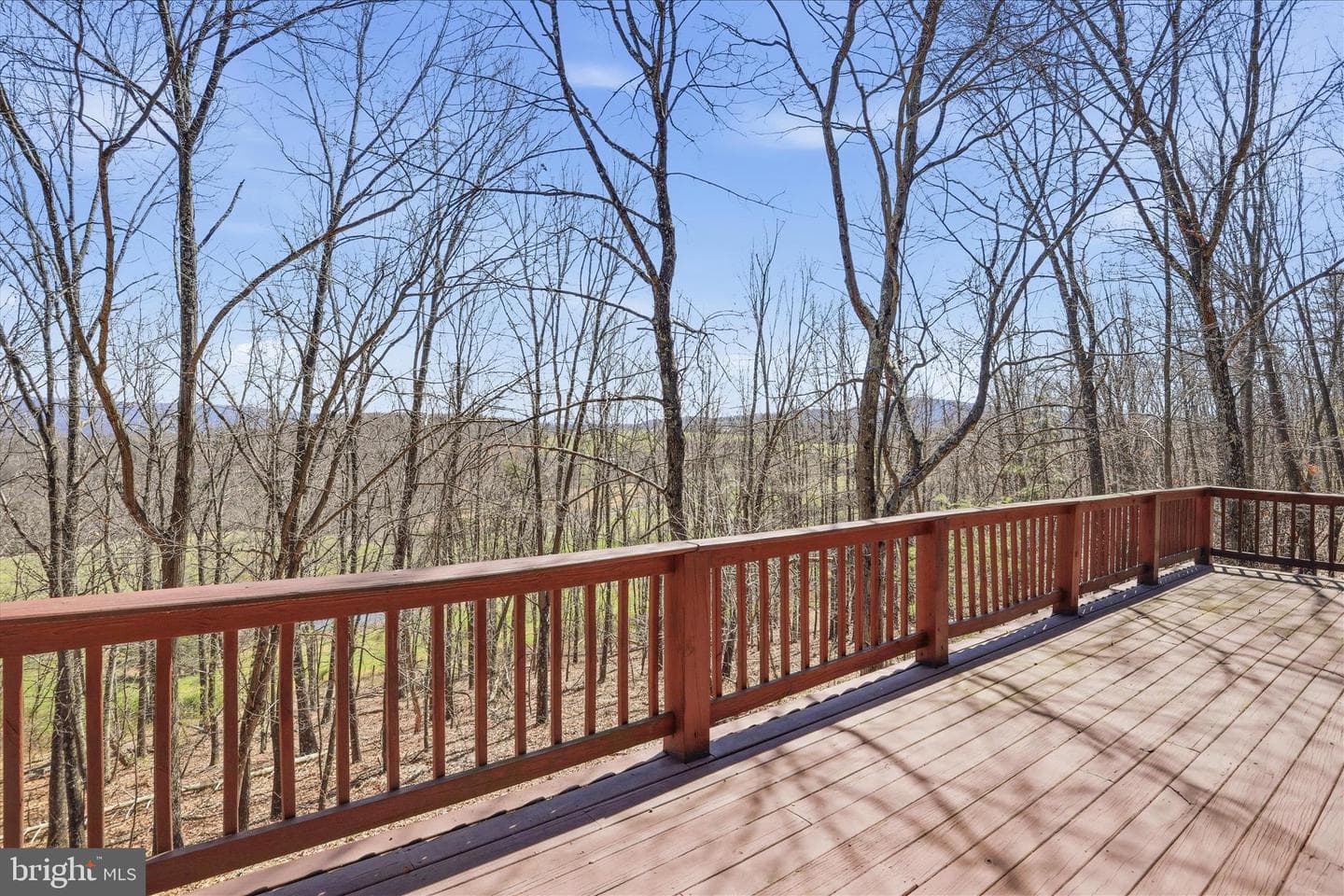163 Olive Branch Road photo 39
